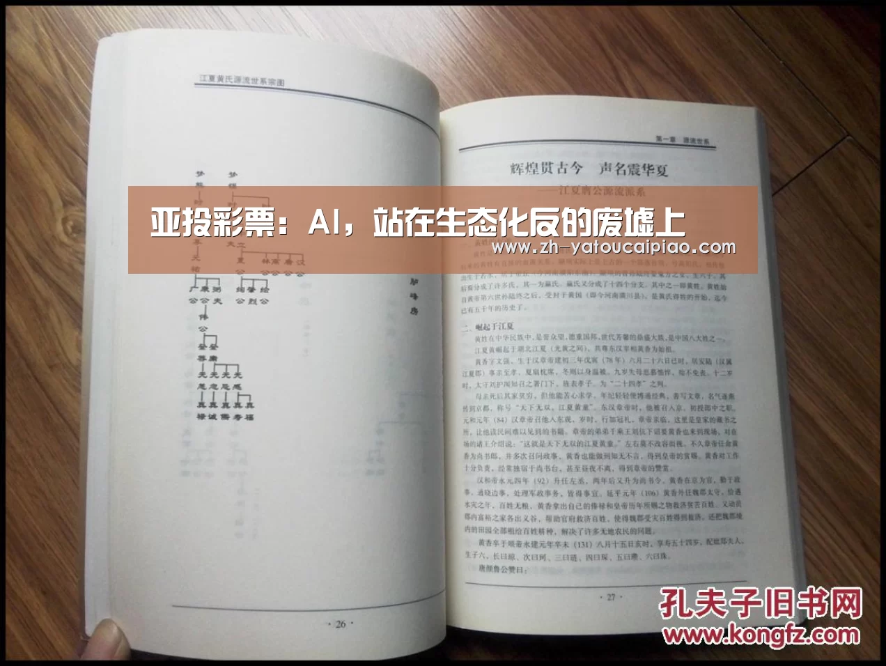 亚投彩票：AI，站在生态化反的废墟上