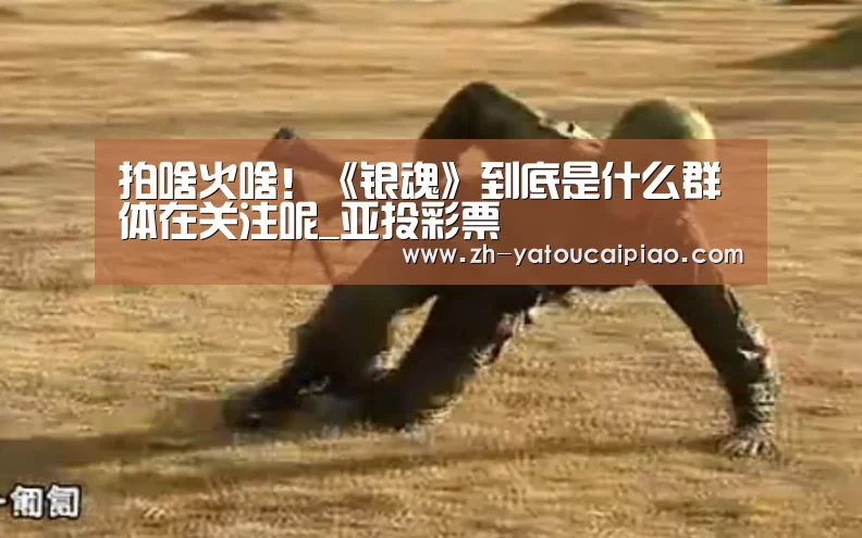 拍啥火啥！《银魂》到底是什么群体在关注呢_亚投彩票