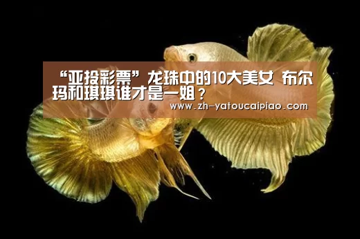 “亚投彩票”龙珠中的10大美女 布尔玛和琪琪谁才是一姐？